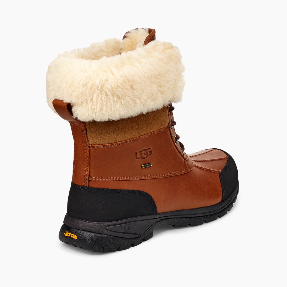 image_a52242b2-1b63-45a2-999f-4e12c0335889