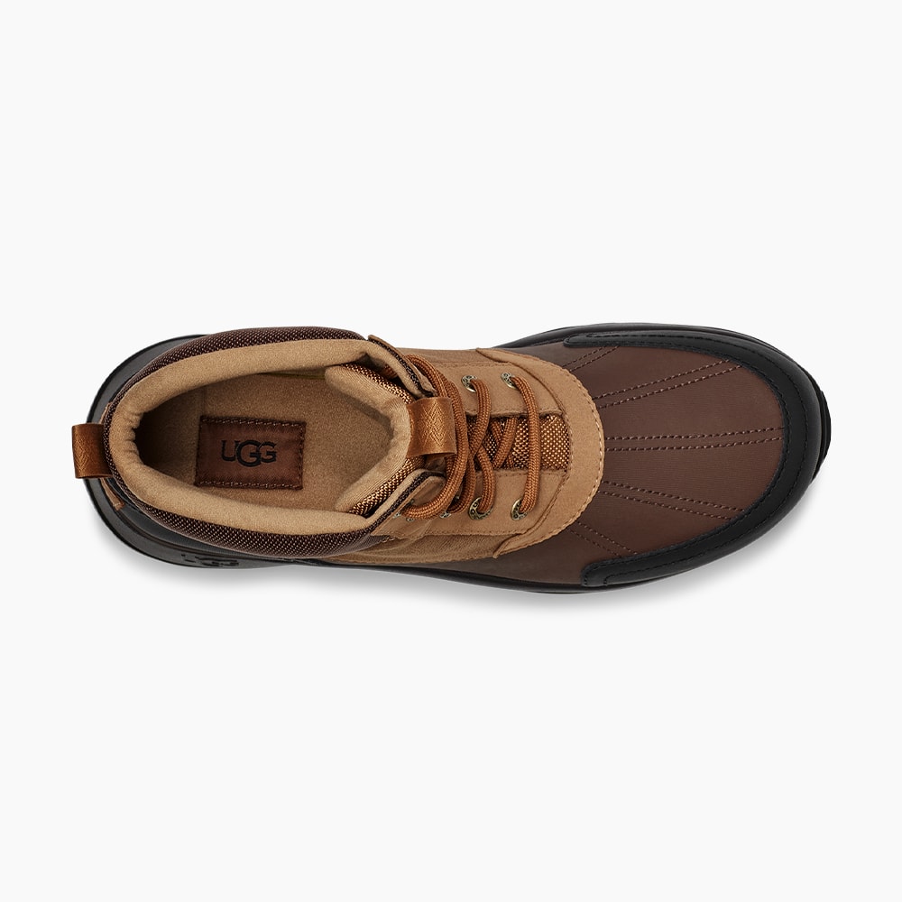 image_ccdb82a5-be14-4333-96fd-1de3a4782294