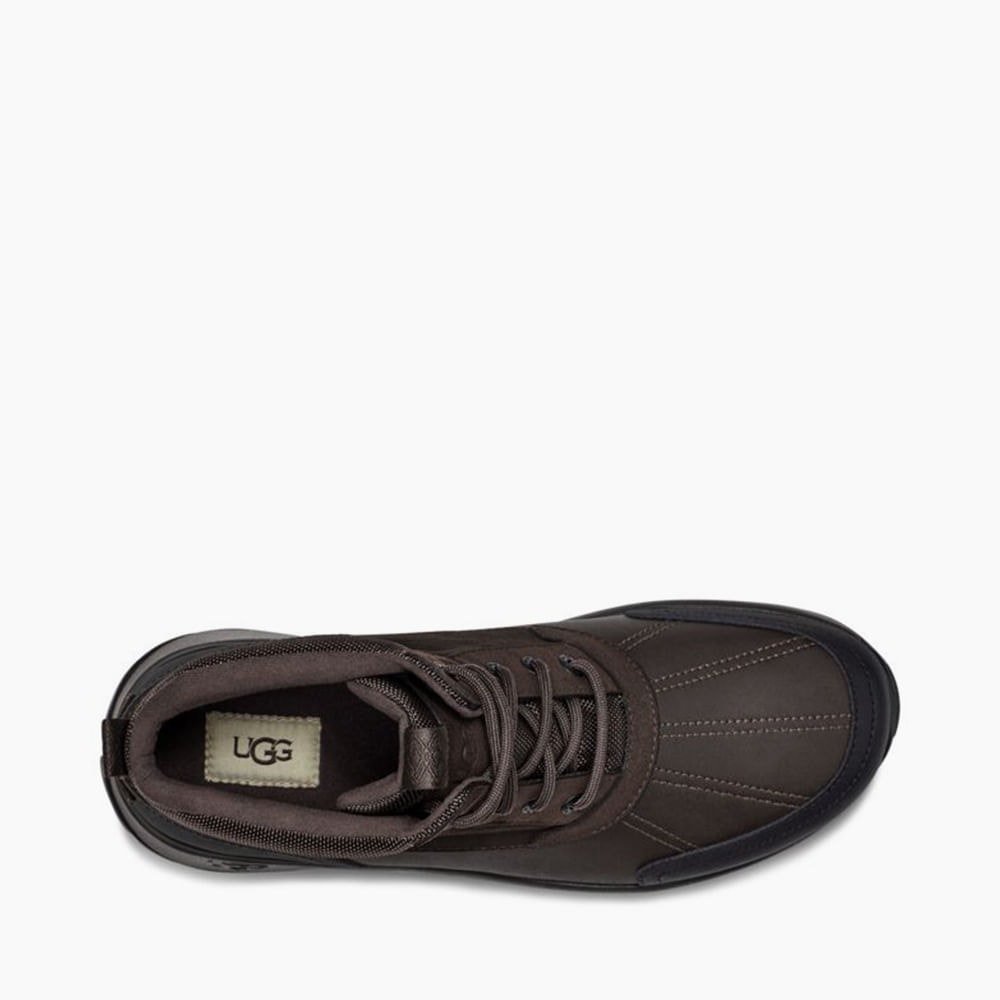 image_6bfec599-786b-453a-be0c-01c0c4ecff1a