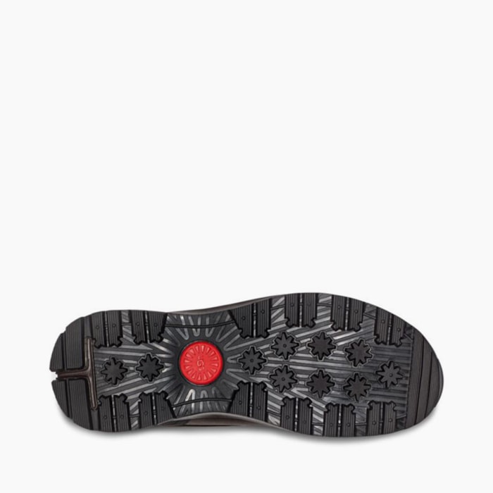 image_41553e42-72f6-46e7-b707-3fc45987c5cb