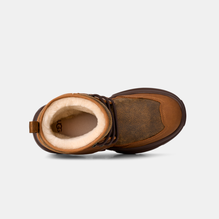 image_826206d5-b047-4103-b2c6-fb35e339dcd6