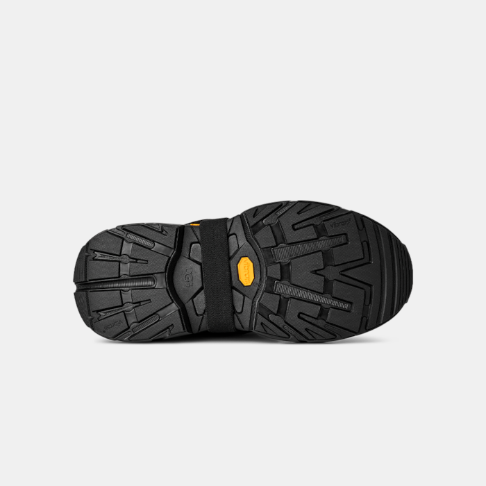 image_cd469672-1188-4445-b99a-61647abd3bad