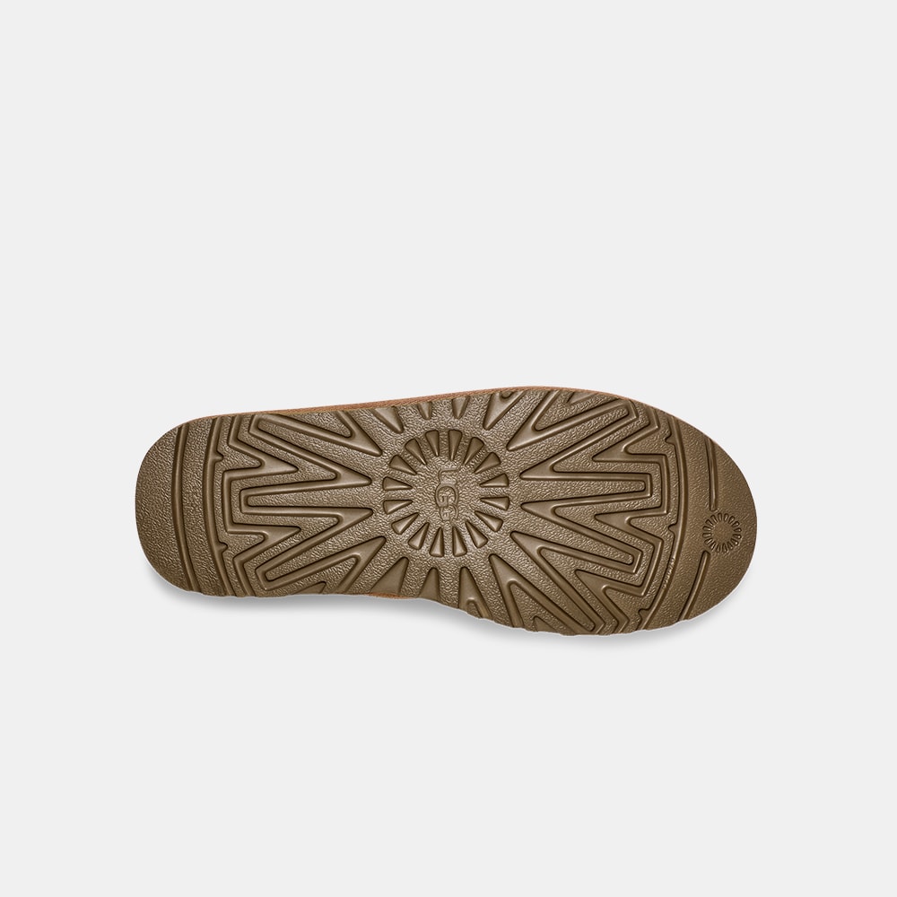 image_54e632ce-24c8-40bf-989e-5768aabd1b94