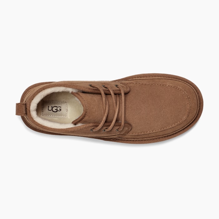 image_8c4773f1-aed0-4561-97e7-e35bb37fdac3