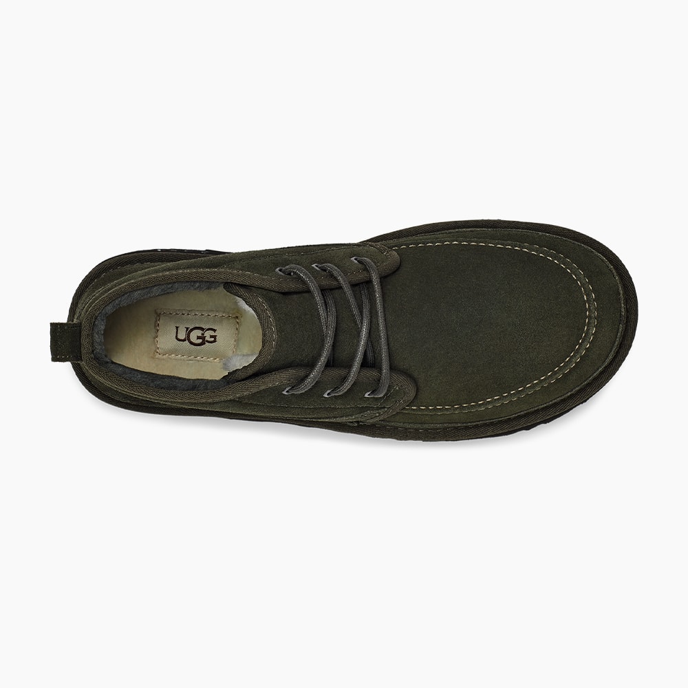 image_b18faa06-1615-4b70-adf7-5245932b9dc9