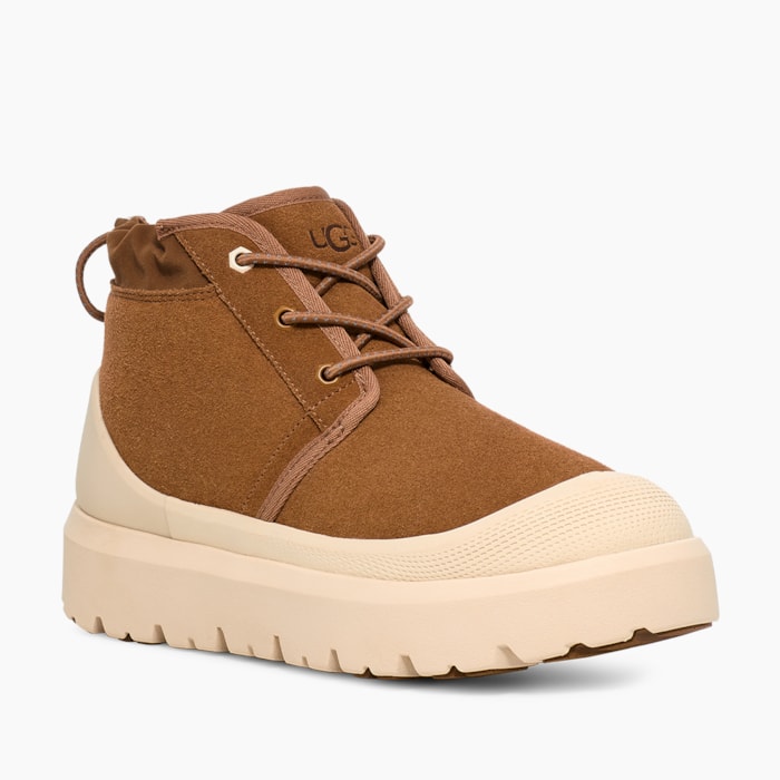 image_b6cba374-b95f-4f43-9c79-eb3730f186bc