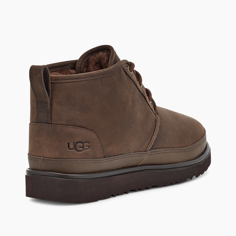 image_56fa9fe2-35d5-4708-9529-accc2e808c4a