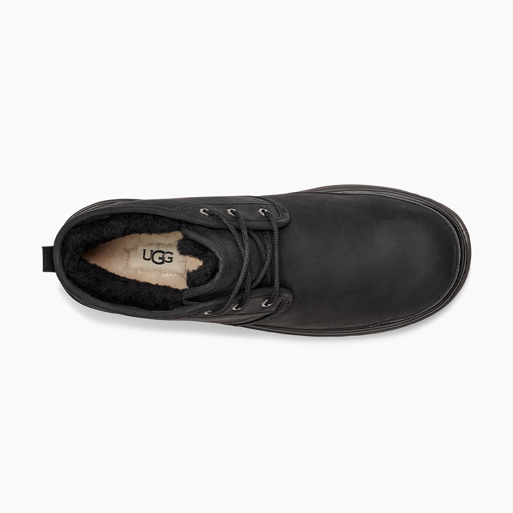 image_66c4de21-1a7d-40ed-98fc-e6cf5f14e9e6