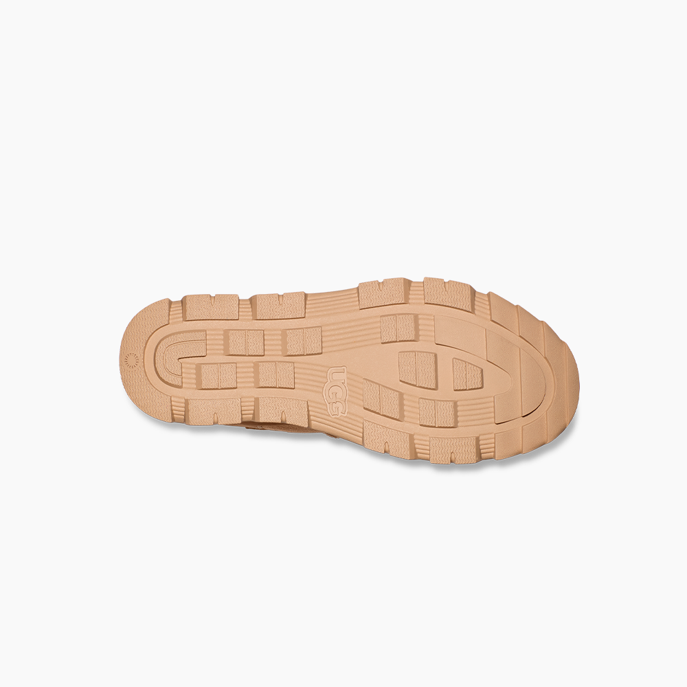 image_c98e3081-1f96-4a8f-b669-fe1723d075e7