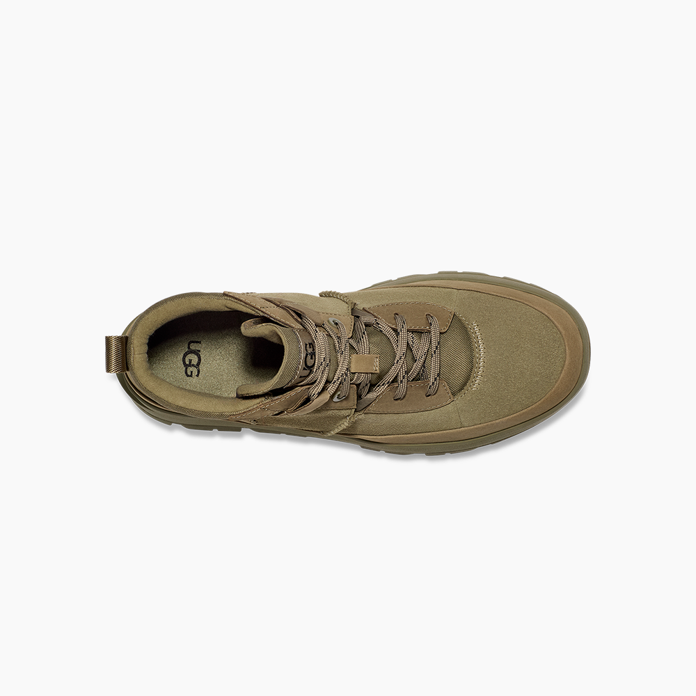 image_aba1593d-b8a6-459c-8cab-11bd0d2e1a8d