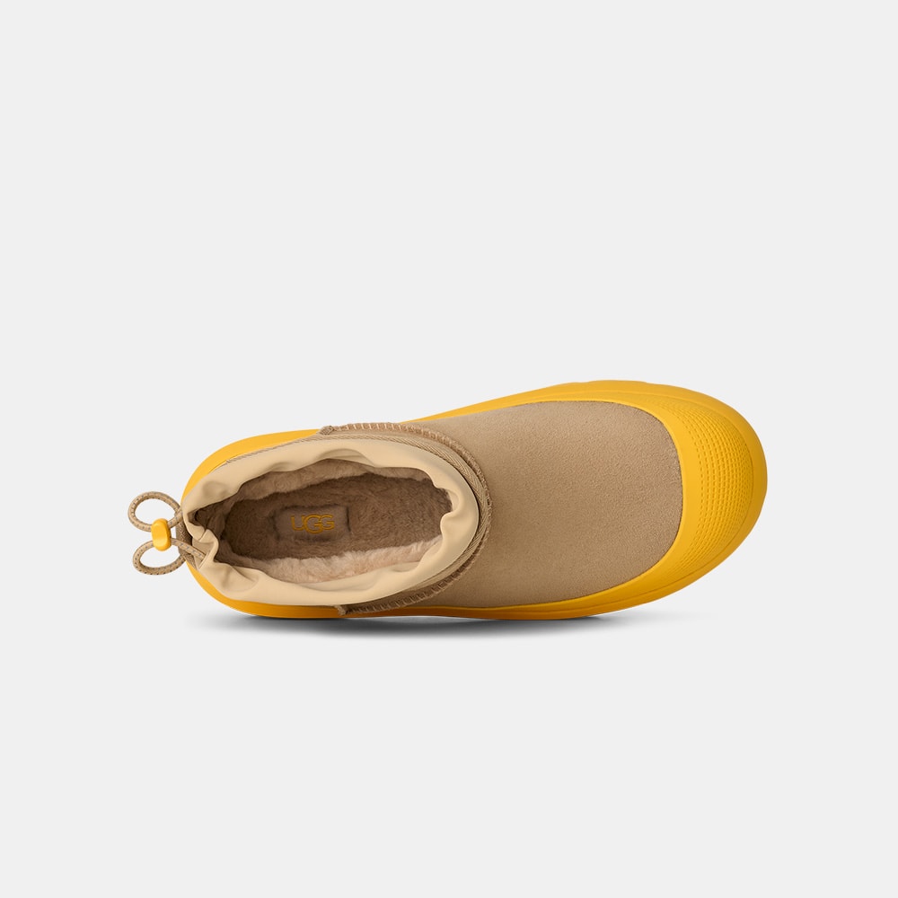 image_48955517-4738-467a-b8e2-15c636fae14b