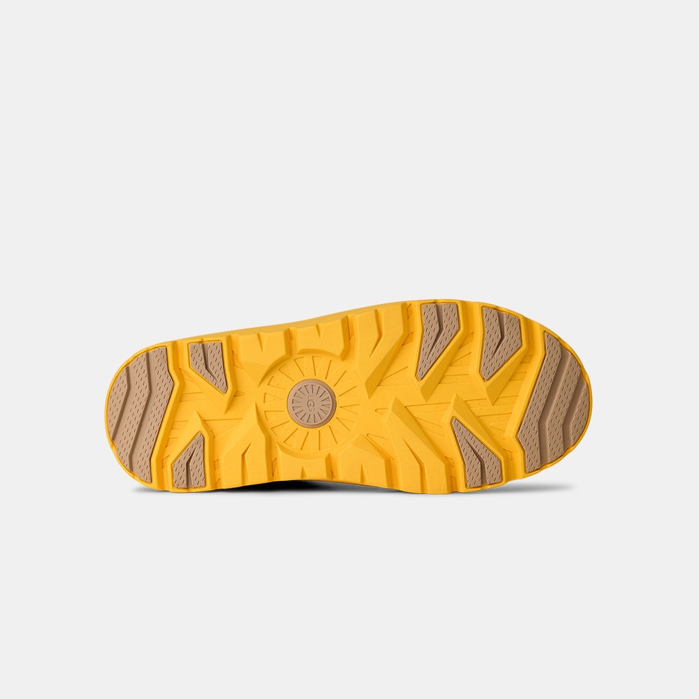 image_01f17555-2f90-44b4-b0c2-2d43572ada33