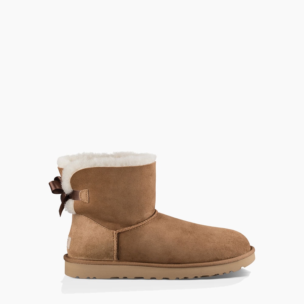 image_c26e92ac-d1e1-4229-ad0b-c3e59bcb46ff