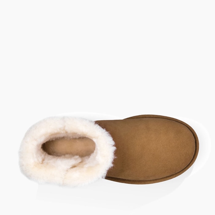 image_cfe107b6-dadb-428c-b1a8-5829f33be197