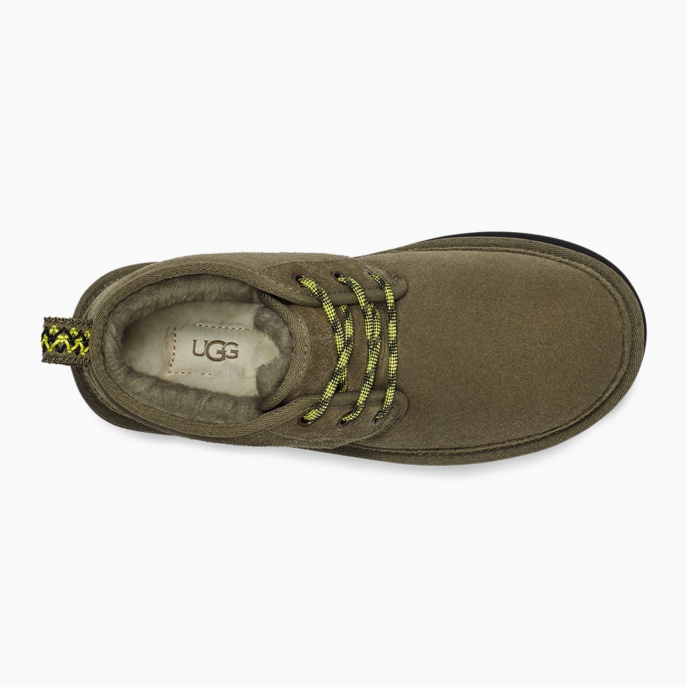 image_358e8ec8-cfc1-4544-a551-1247d8925275