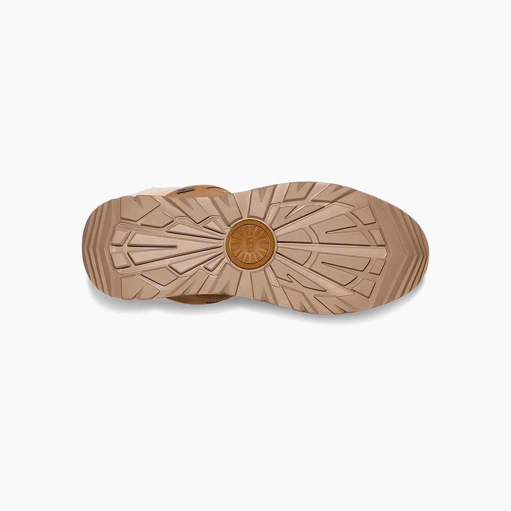 image_399f9ac5-f8bd-41d0-8cdd-de83384d54fb