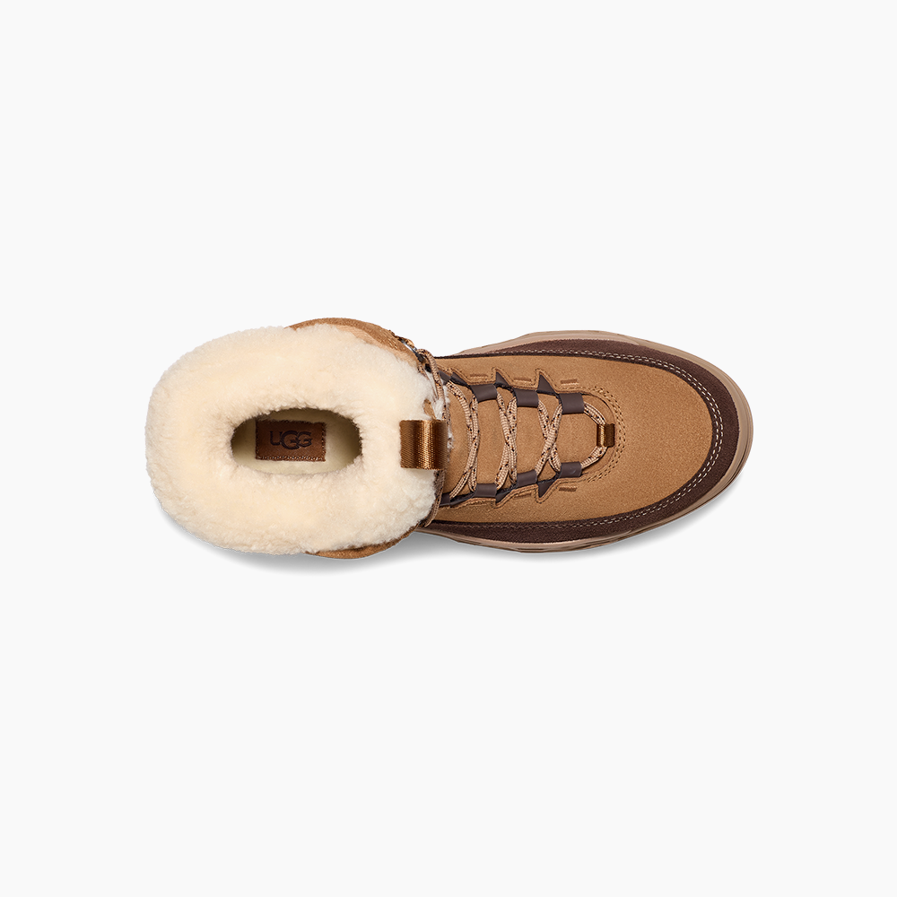 image_2a41e24b-7a66-4bcc-ad0c-0d055f60a705