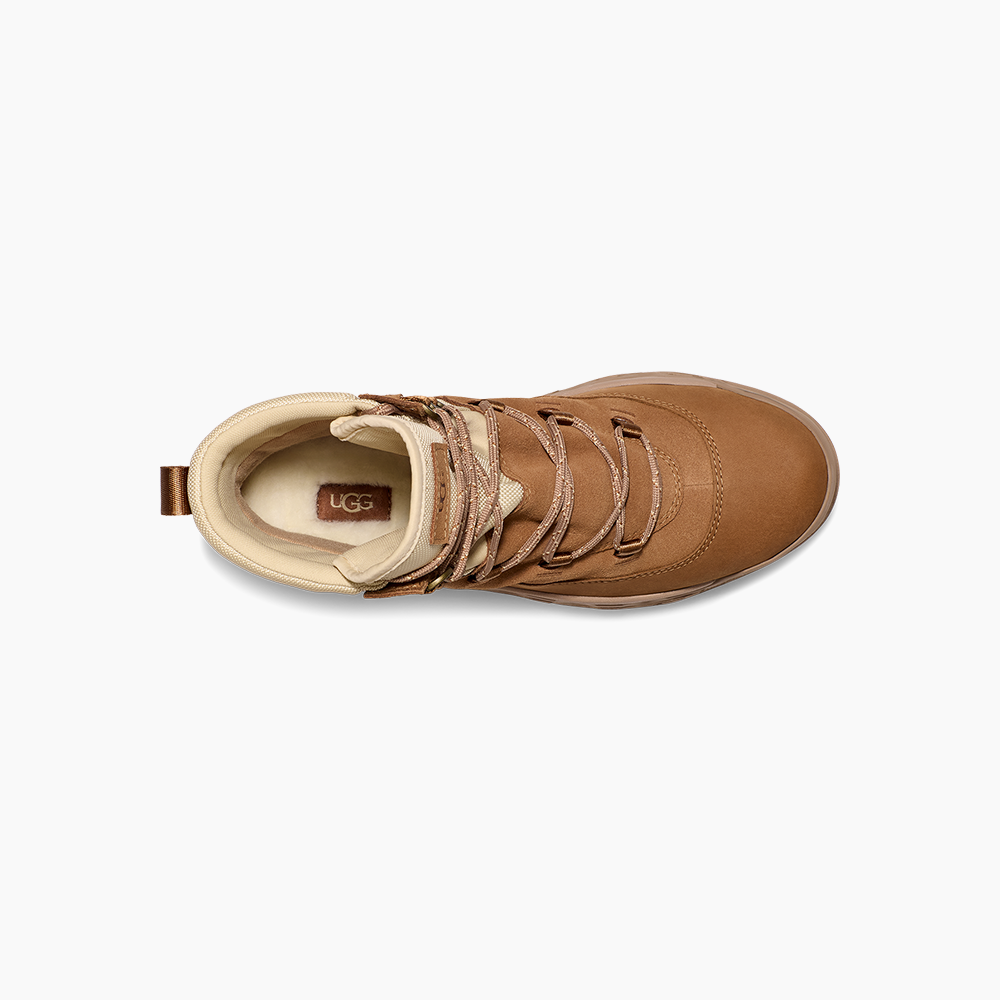 image_209c14b8-a538-4eb1-8239-eb2460f7a1c6