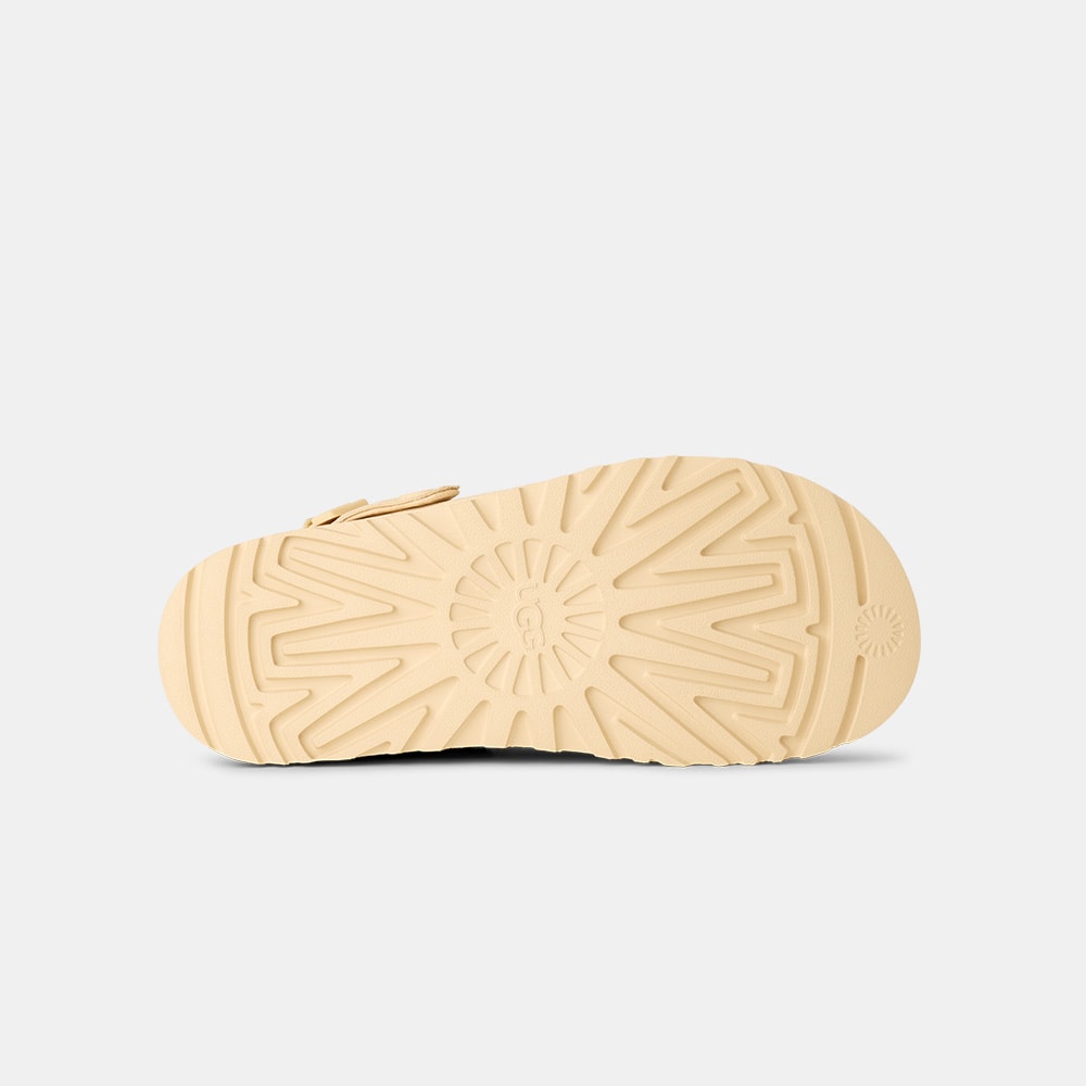 image_281f45ff-c7ee-4906-8e15-1d6f5f07a0ea