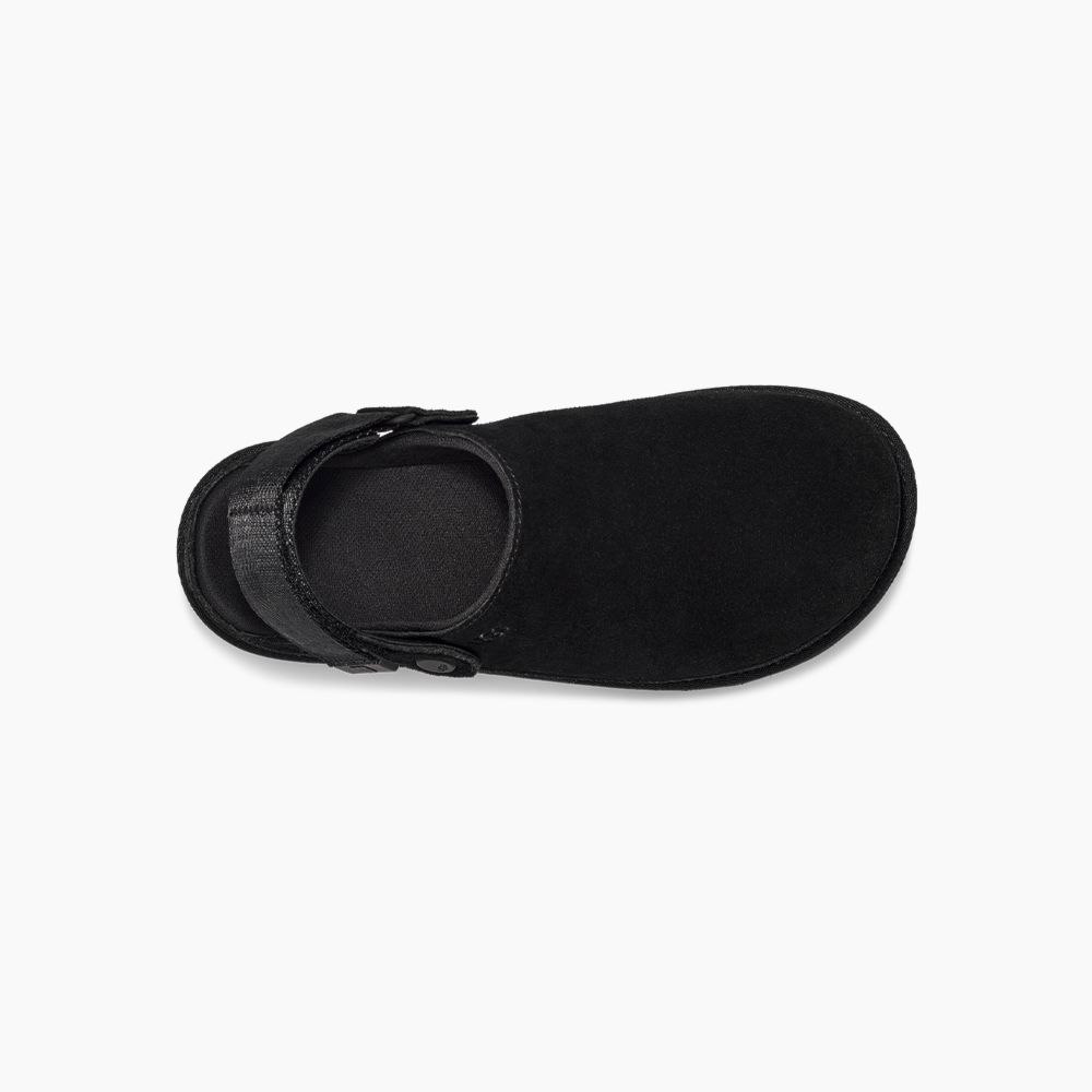 image_141f7616-4a86-4f39-9360-fa63aa4ba6d8