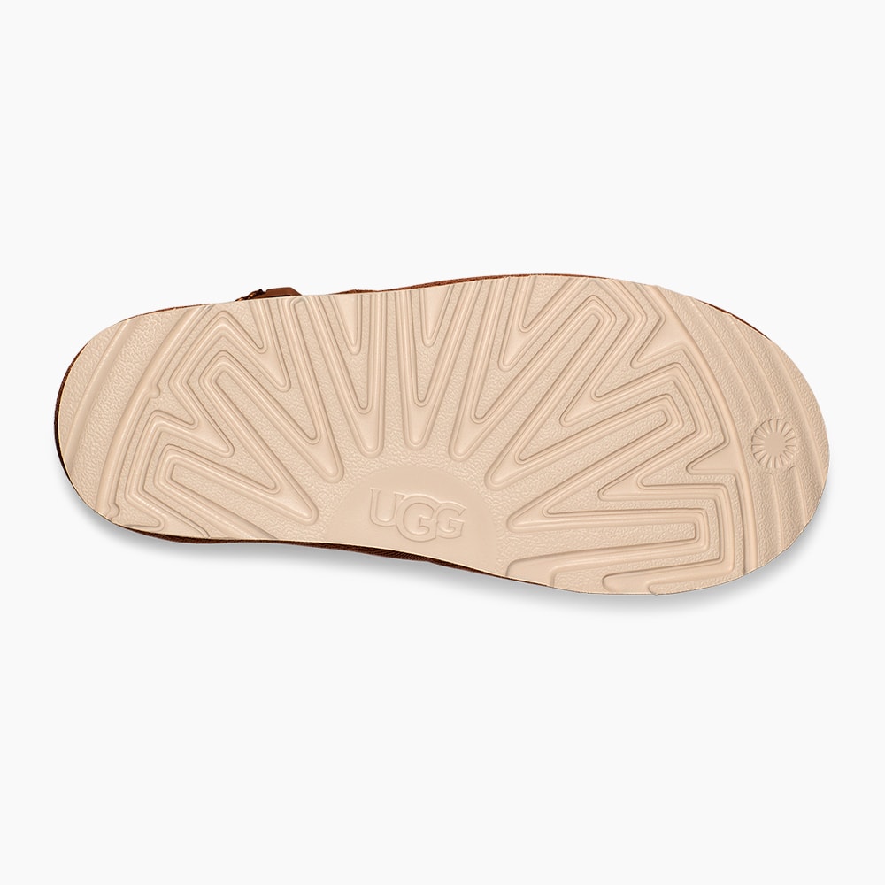 image_fe726f8a-9197-4c41-8867-16b58d3dcff4