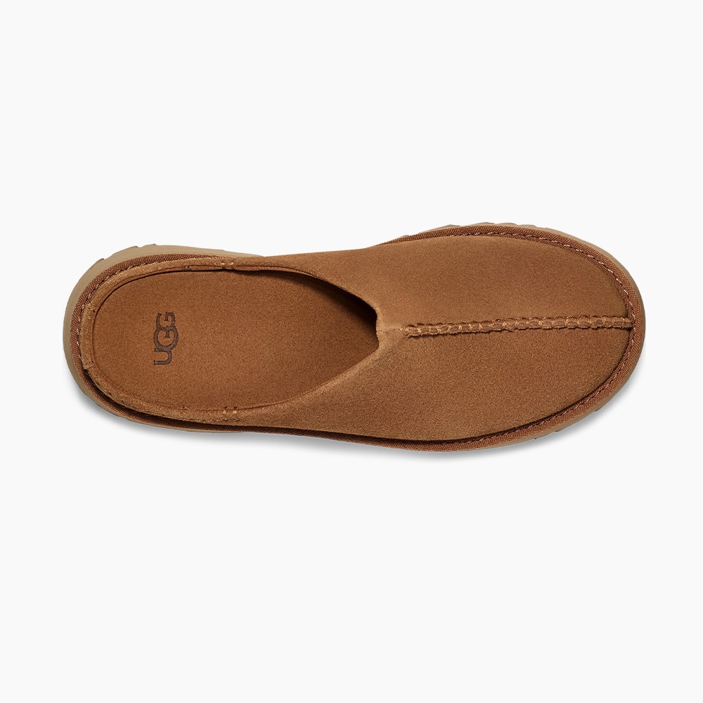 image_4bad9010-c77e-44f5-bded-c2a99e2ef02a