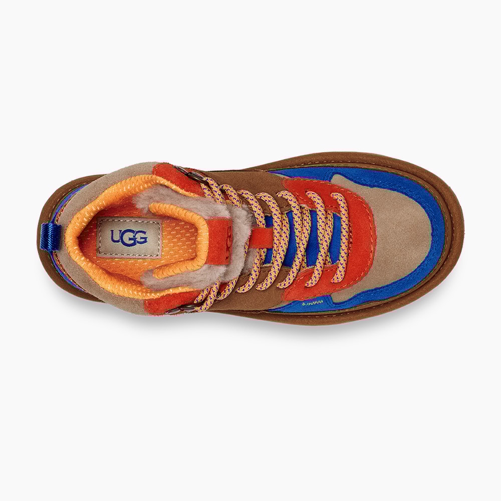 image_0c60d3c3-a721-41ee-9396-33350e5fd6ff