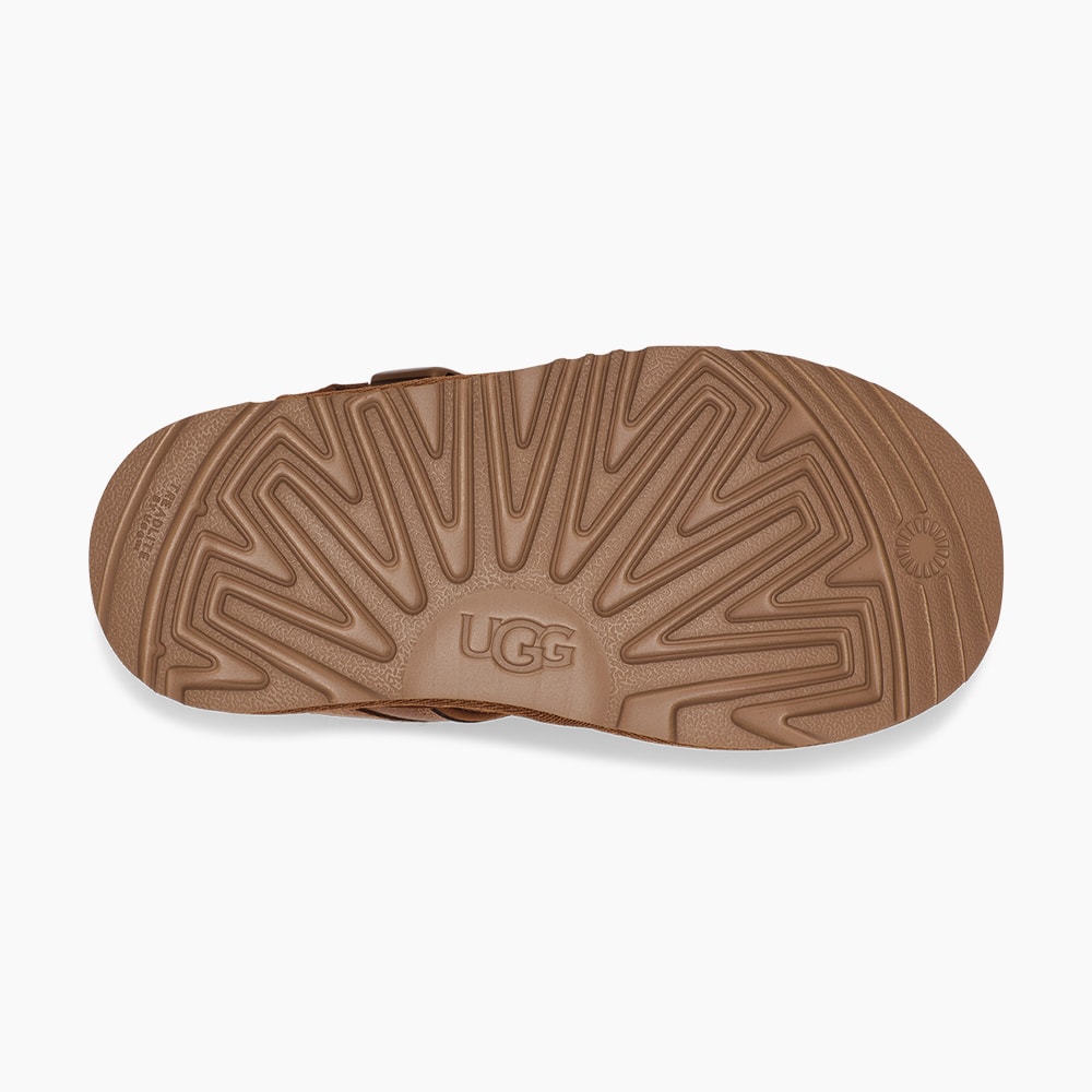 image_c171a278-02f3-4b1f-9ac2-6cbd0843b5e9