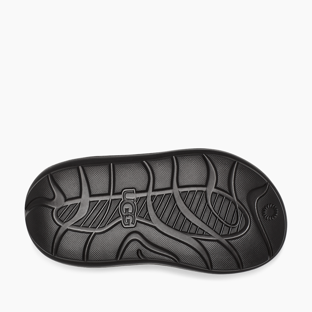 image_3b21ed6c-6a32-40b3-bedb-f95126bebc3a