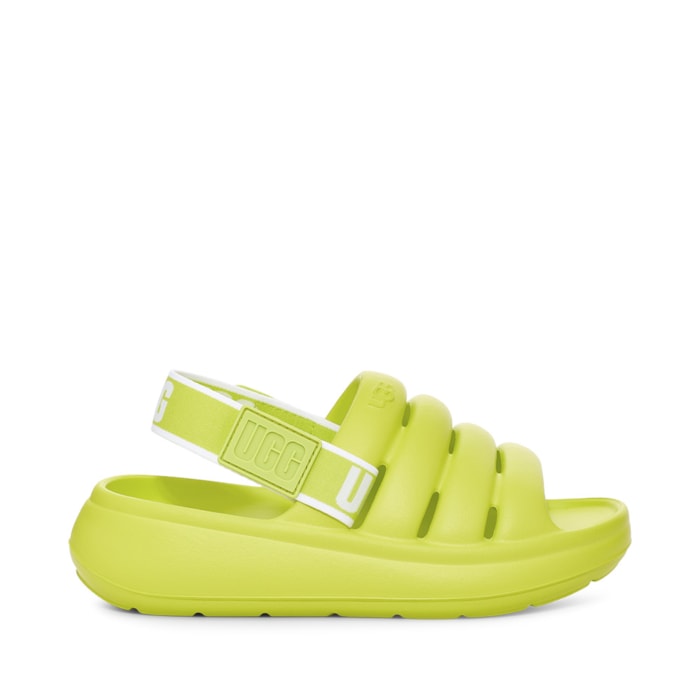 image_dbf95167-ebd1-43e6-8562-56ee56be8583