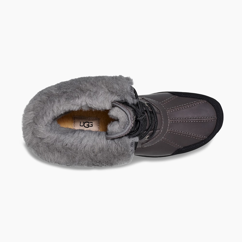 image_b9c1c37f-fba0-45bc-beb7-b08f3a67bcdb