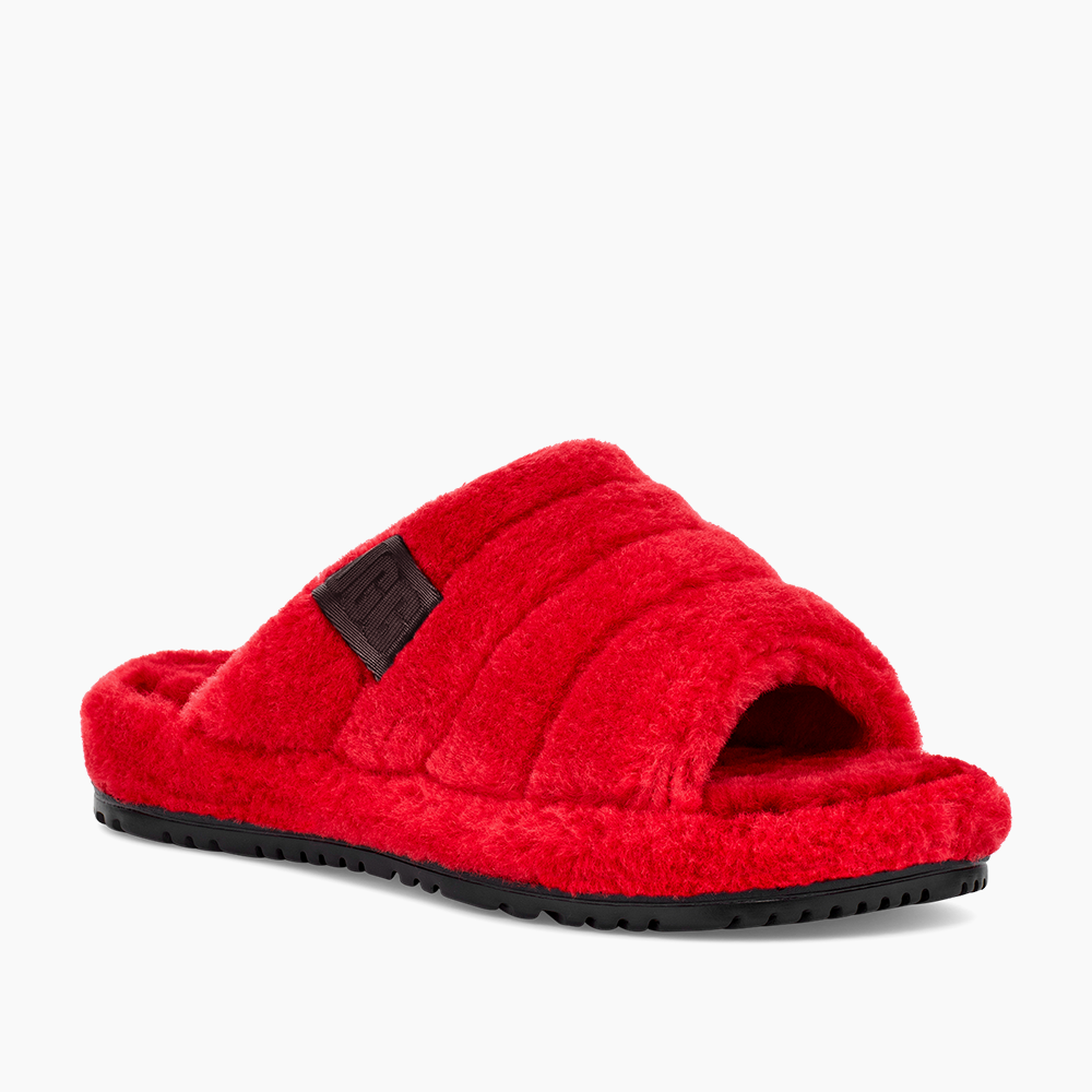 image_ec0cecb3-0d28-4dab-8480-fc2a82a96e07