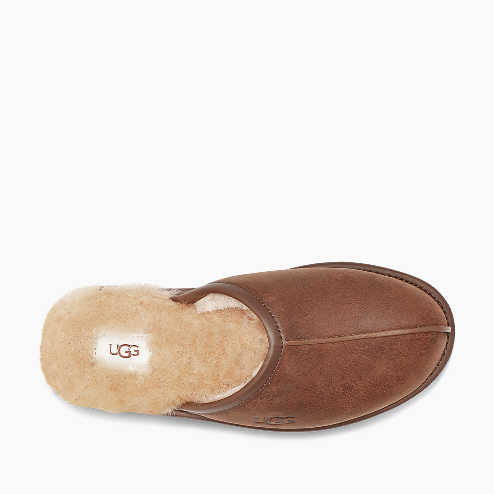 image_8f5fe818-6024-4c40-a031-ee051cd0c8c1