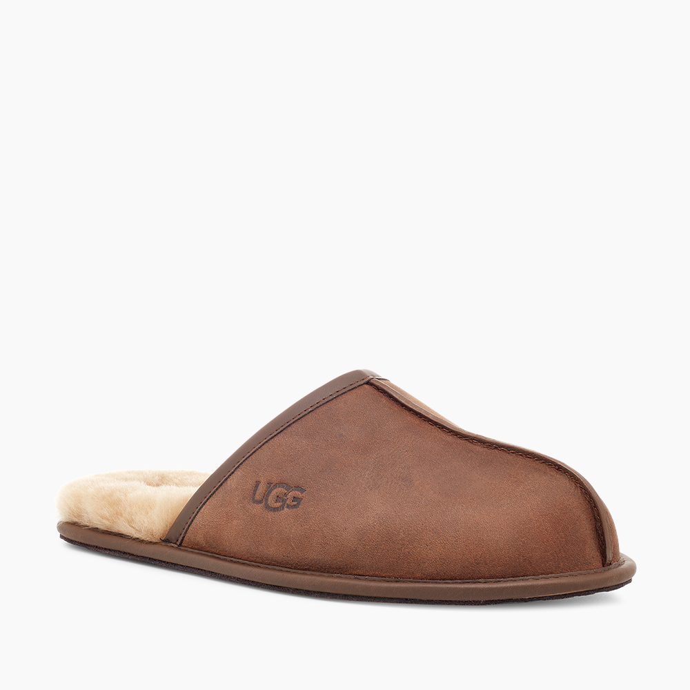 image_fb0d1d48-d17b-4ff5-8815-7e4b47880c2b