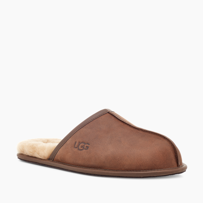 image_1eee407f-8e1e-41fe-b076-adf9d4a3a290