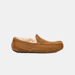 Mocassim Ugg Masculino Ascot Caramelo