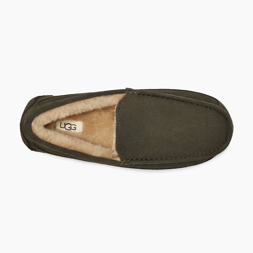 image_5fa408b1-d713-4d85-a21c-5bf412b64e83