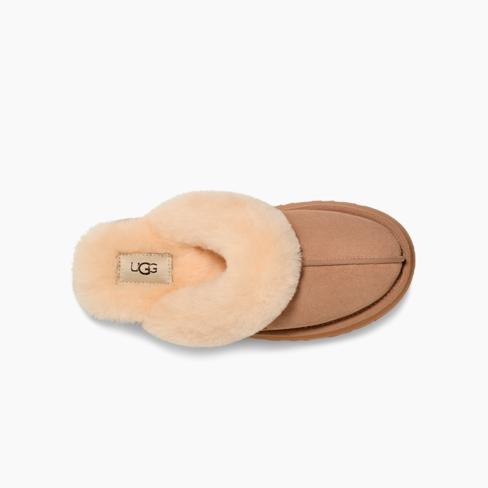 image_1309ea4f-33b7-407c-b37f-4420d9e0d3ff