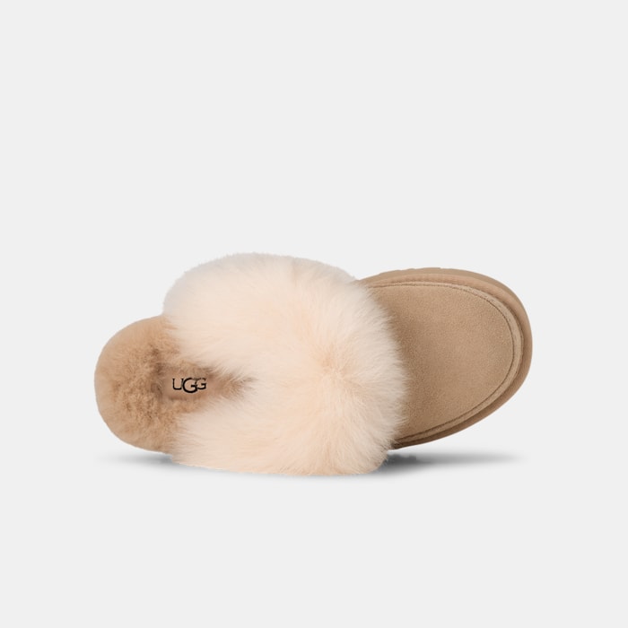 image_ba66d334-2213-4204-84fd-ae738bd33a9e