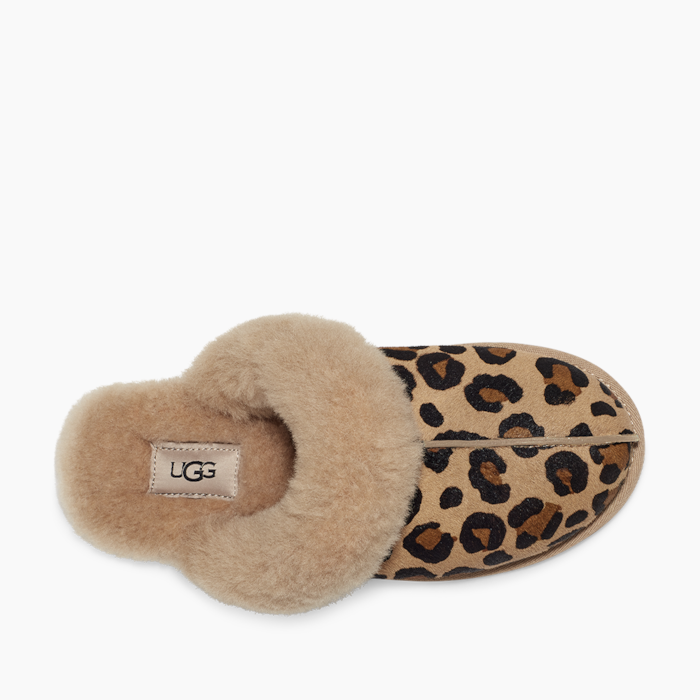 image_50b33c92-9556-4e43-9e2e-db94823e01d2