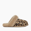 Mule UGG Scuffette II Sporty Animal Print/Marrom