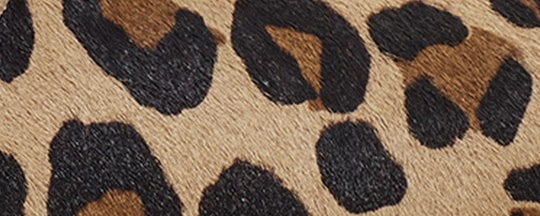 image_dee3cfa7-e804-4222-bdbf-66732c7614f8