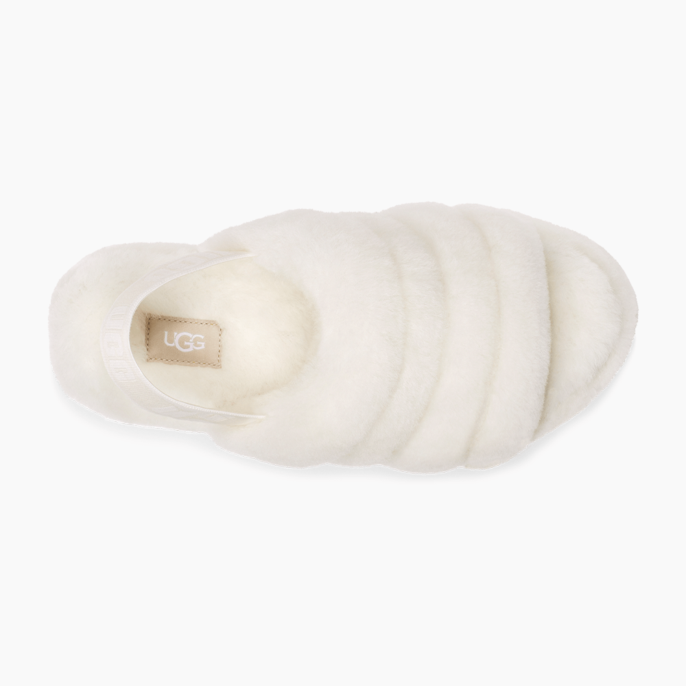 image_b301ce2d-e0a0-47de-80af-87f67ebaeda0