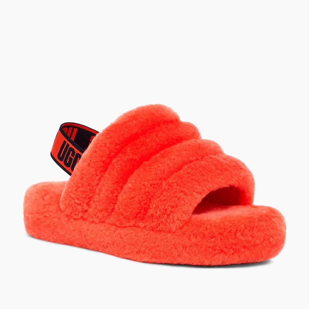 image_3b49e4ec-ecb5-4bda-93cc-fdab6d8aea2b