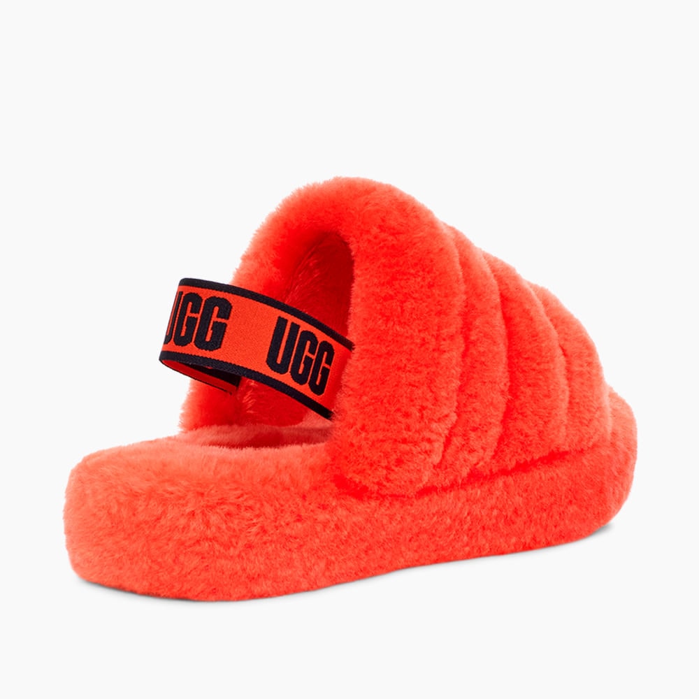 image_99851648-47b2-4c96-9511-0940f16cae85