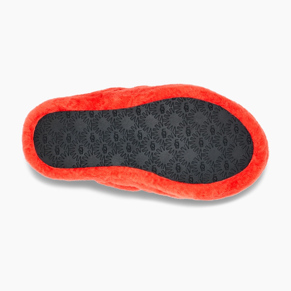 image_2c5954fb-3d0e-4d57-9e59-a089083e929b