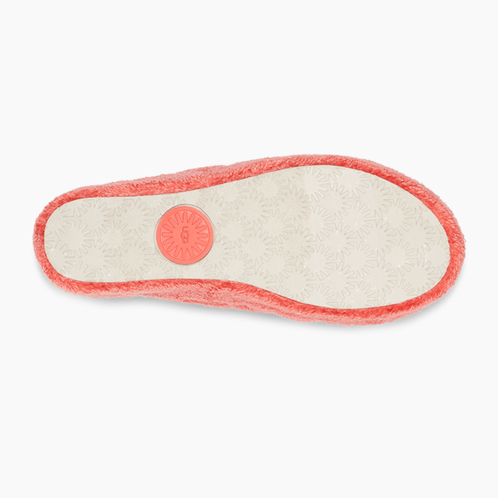 image_2c6467c1-7f4d-4322-ad7c-715a997945ab