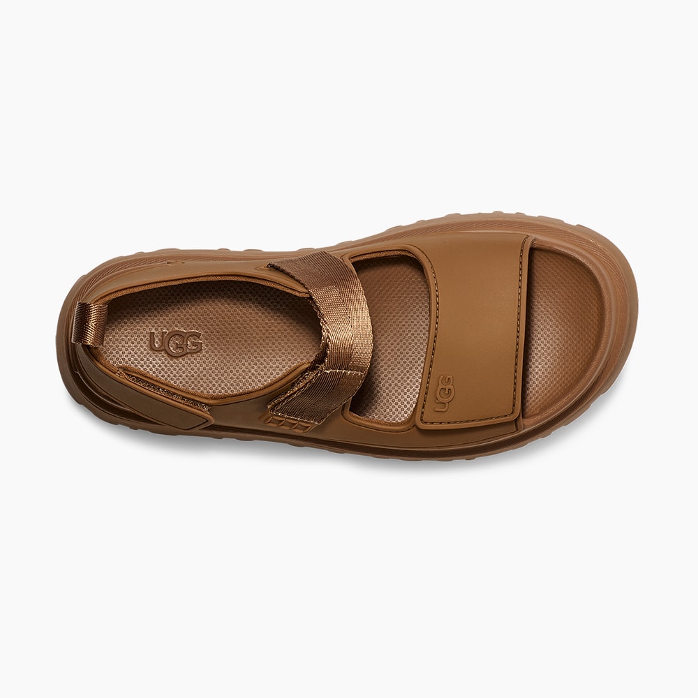 image_6b2cbafe-5d5c-405f-b761-8f1fc6132e59