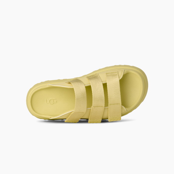 image_3e192c69-07b7-4e76-a383-ad8fa26c620e