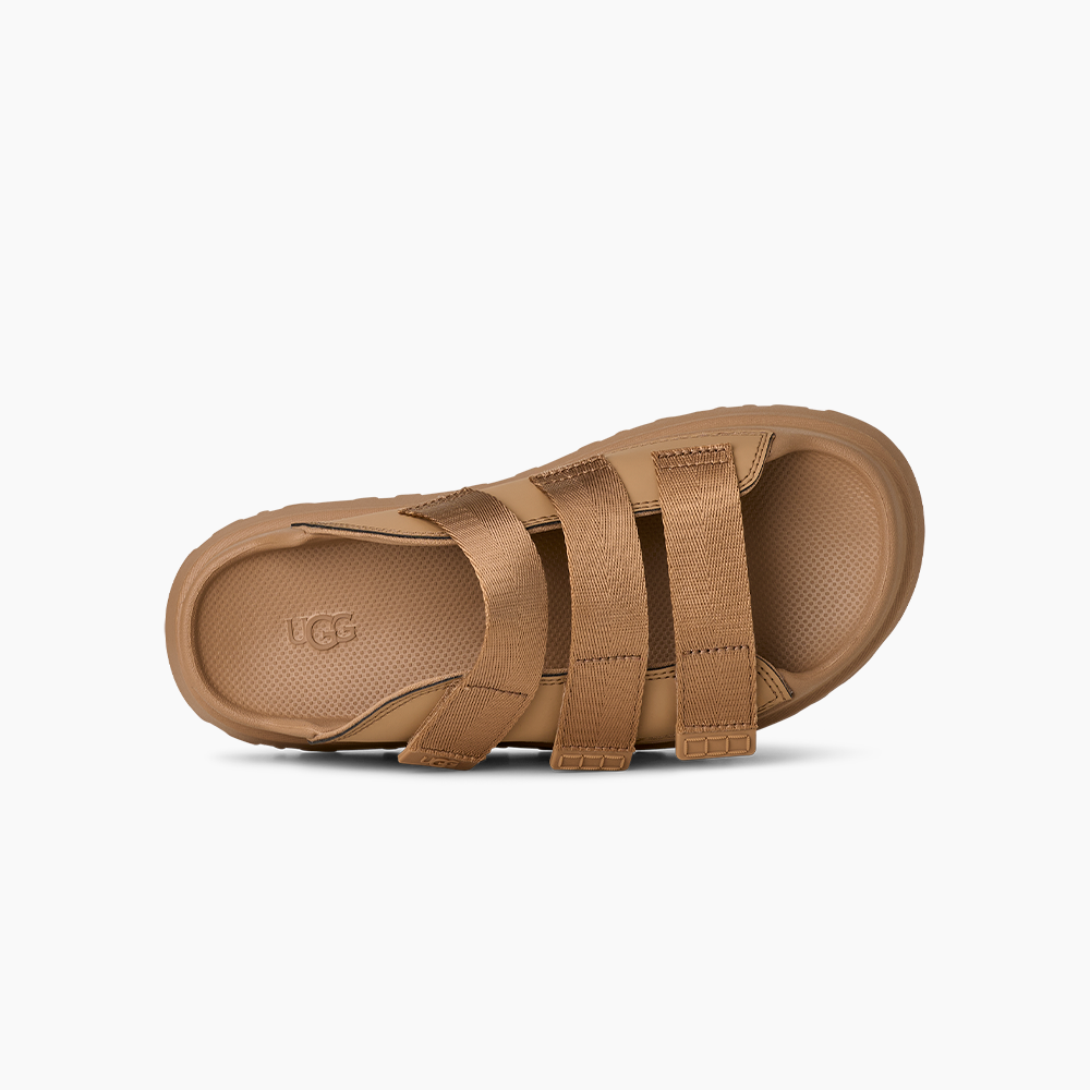 image_cfdb2439-8bff-49d6-a099-3f5ce22d2106